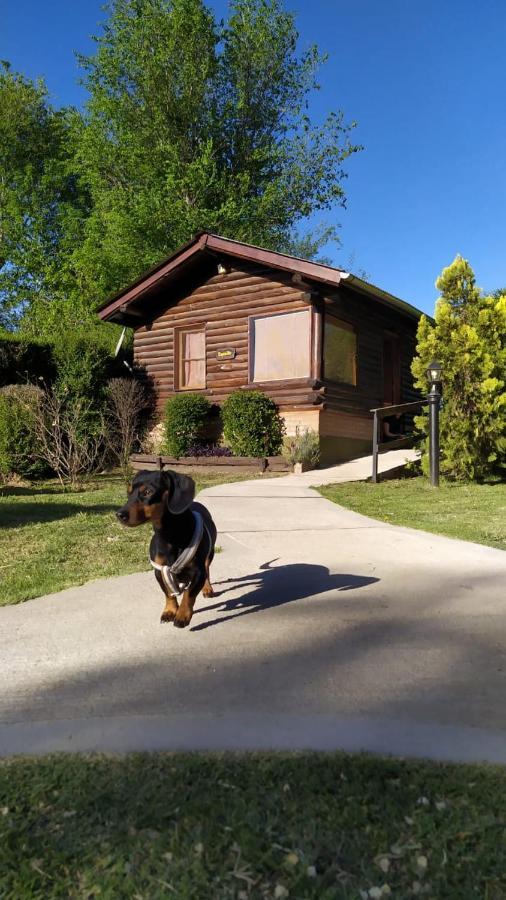 Cabanas Cultura Serrana Santa Rosa de Calamuchita Kültér fotó